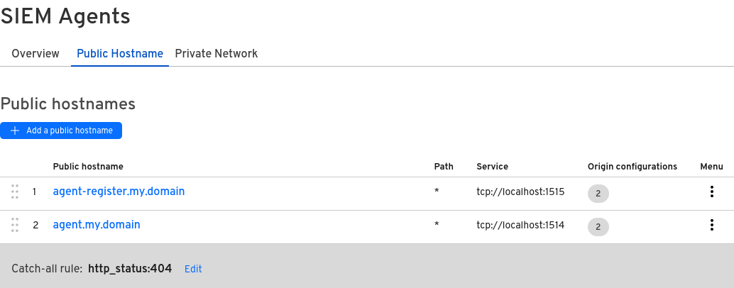 Cloudflare Tunnel Hostnames